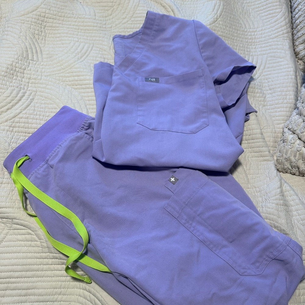 Purple figs set